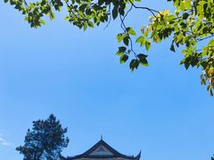 -成都老君山