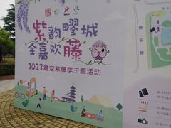 -嘉定紫藤园