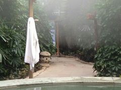 -仁爱团泊湖温泉中心