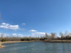 -东郊湿地公园