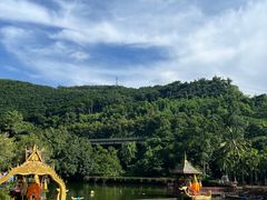 -西双版纳原始森林公园