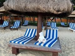 -海南清水湾莱佛士酒店