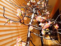 -酣庭院(红松东路店)