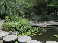 -广州珠江公园