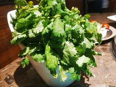 -鱼豆吉·豆浆鱼火锅(宜昌万达店)