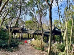 -上海佘山国家森林公园天马山园