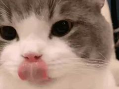 -德克士(龙阳广场店)