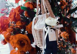 -卡卡喜糖伴手礼·商务礼宝宝礼·婚礼用品