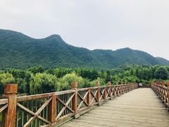 -贵阳市花溪国家城市湿地公园