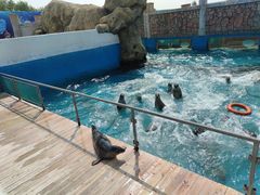 -秦皇岛乐岛海洋王国