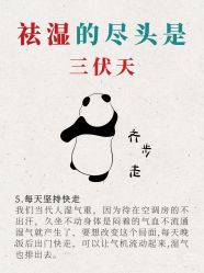 -雅曼妮spa美容养生
