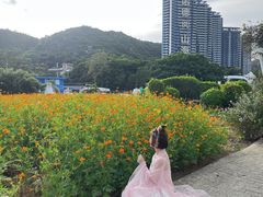 -玫瑰海岸文化旅游度假区