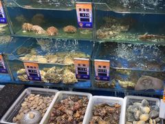 -小船渔村•大连菜•大连焖鱼(明泽街店)