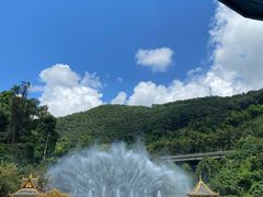 -西双版纳原始森林公园