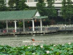 -荔湾湖公园
