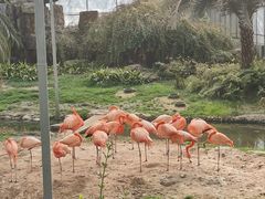 -无锡动物园·太湖欢乐园