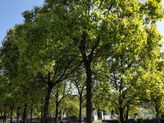 -松声马术俱乐部