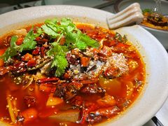 -辛香汇·现炒川菜(淮海路百盛店)