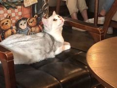 -咖法森林·咖啡  酒吧(天河店)