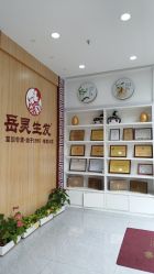-岳灵生发养发馆