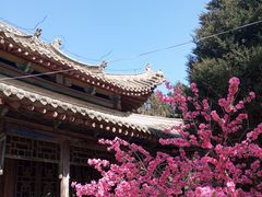 -玉泉观
