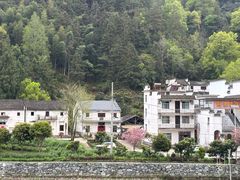 -新安江山水画廊风景区