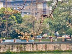 -成都市活水公园