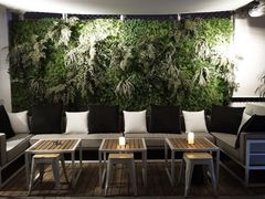 -AZUL by FUEL蓝色·法式酒馆(琶醍店)