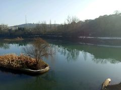 -咸宁万豪温泉谷度假区