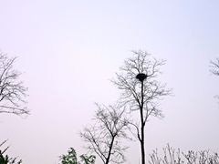 -济南植物园