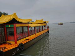 -溱湖国家湿地公园