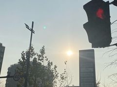 -黄浦江游览快线(金陵东路码头)