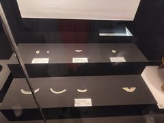 -上海崧泽遗址博物馆