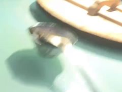 -鱼窝棚柴火铁锅炖(富山屯店)