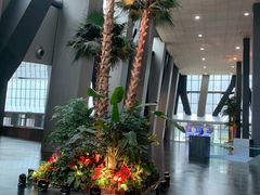 -中央广播电视总台(光华路办公区)