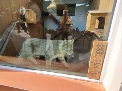 -青藏高原野生动物园