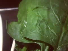 -海底捞火锅(顺义华联店)