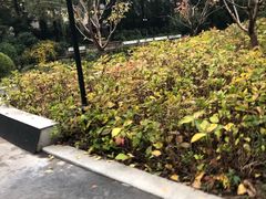 -兰溪青年公园