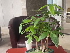 -兴芮温泉度假区