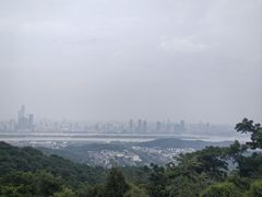 -茶颜悦色(岳麓山顶店)