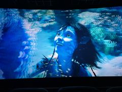 -万象影城(石家庄万象城IMAX激光店)