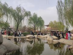 -西安青龙寺遗址景区