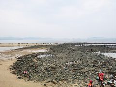 -长江澳风力发电景观区