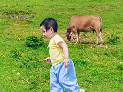 -大姆山草场