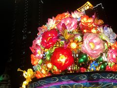 -锦江乐园舞狸花花游园会(夜场专享)