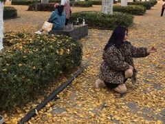 -百林公园-两江幸福广场