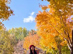 -长春世界雕塑园冰雪艺术天地