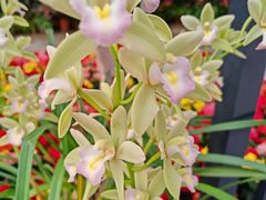 -北京植物园-展览温室