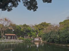 -荔湾湖公园