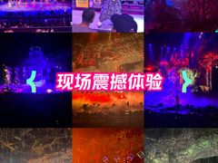 -广州长隆国际大马戏